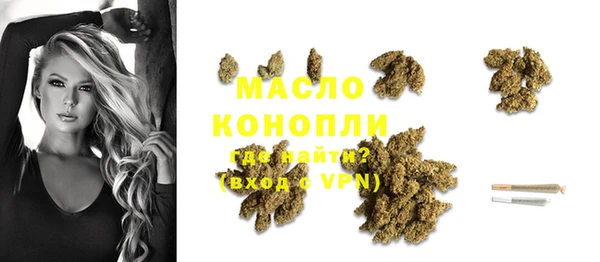 соль ск Богданович